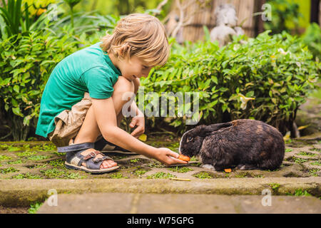 The boy feeds the rabbit. Cosmetics test on rabbit animal. Cruelty free and stop animal abuse concept Stock Photo