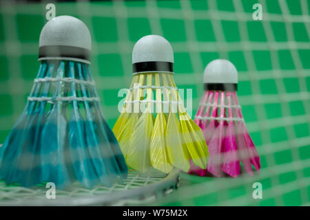 Colorful feathered shuttlecocks in blue, yellow and pink with a badminton net and racket on a green court in a close up view Stock Photo