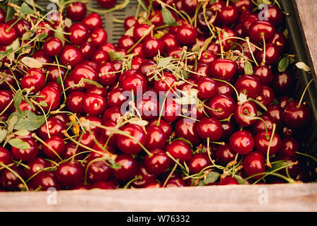 Sweet fresh cherries in boxes at a market. Fresh sweet cherry texture, wallpaper and background. Summer food or local market produce concept. Stock Photo