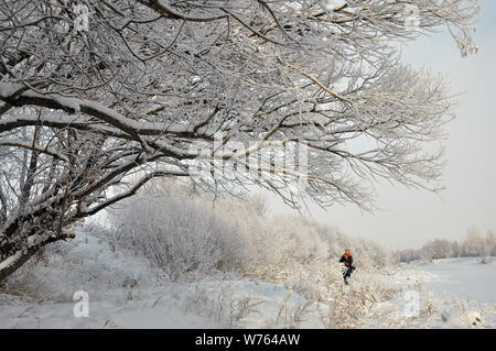 A tourist takes photos of snow by the Zhadun River in Yakeshi of Hulunbuir, north China's Inner Mongolia Autonomous Region, 8 December 2017.    Cold f Stock Photo