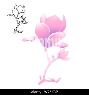 Magnolia flower on a branch of gently pink color. Contour and monochrome cartoon drawing. Vector illustration Stock Vector