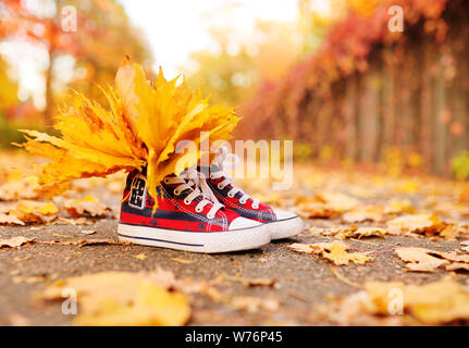 red sneakers with yellow maple leaves inserted in them close-up on the background of the autumn Park. Stock Photo