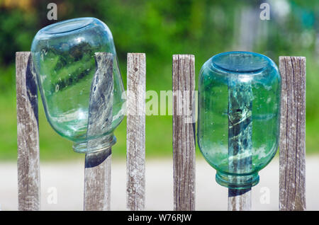 Washed Three Liter Glass Jars Left to Dry Upside Down on Weathered Timber Picket Fence on a Sunny Summer Day. Stock Photo