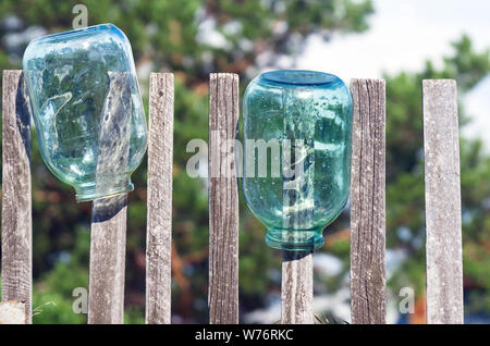 Washed Three Liter Glass Jars Left to Dry Upside Down on Weathered Timber Picket Fence on a Sunny Summer Day. Stock Photo