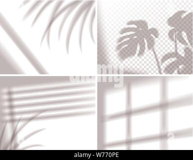 Set of shadows, overlay effects mock up, window frame and leaf of plants, natural light, vector illustration. Stock Vector