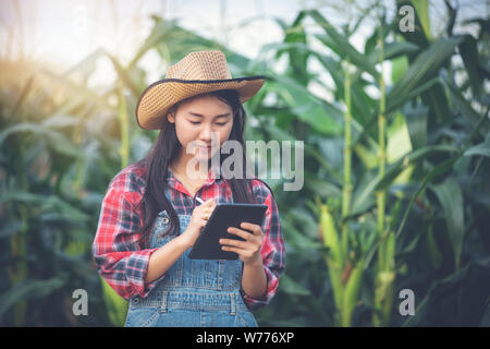 Asias women Agronomist and farmer  Using Technology for inspecting in Agricultural Corn Field Stock Photo