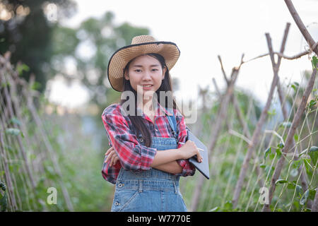 Asias women Agronomist and farmer Using Technology for inspecting in Agricultural and organic vegetable Field Stock Photo