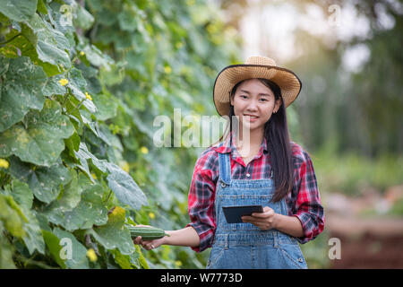Asias women Agronomist and farmer Using Technology for inspecting in Agricultural and organic vegetable Field Stock Photo