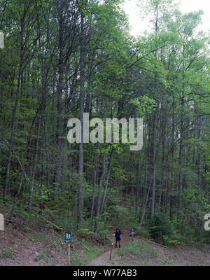 A lone hiker trudges through Unicoi Gap on the Appalachian Trail in Georgia Physical description: 1 transparency : color ; 4 x 5 in. or smaller.  Notes: Title, date, and keywords provided by the photographer.; Digital image produced by Carol M. Highsmith to represent her original film transparency; some details may differ between the film and the digital images.; Forms part of the Selects Series in the Carol M. Highsmith Archive.; Gift and purchase; Carol M. Highsmith; 2011; (DLC/PP-2011:124).; Stock Photo