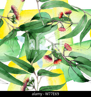 Eucaliptus Floral Botanical Flowers. Watercolor Background Set 