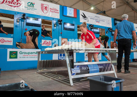 World Sheep Shearing Championships France 2019 Wool Handlers Stock Photo