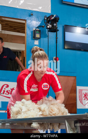 World Sheep Shearing Championships France 2019 Wool Handlers Stock Photo