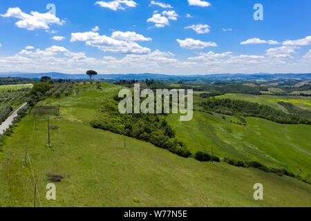 Rolling hills of Tuscany, Italy, on a sunny summers day. A paved road runs through the country landscape. Stock Photo