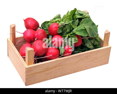 radish bunch in wooden crate isolated on white Stock Photo