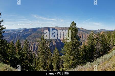 landscape in the canyon area of the Dinosaur National Monument in Colorado Stock Photo