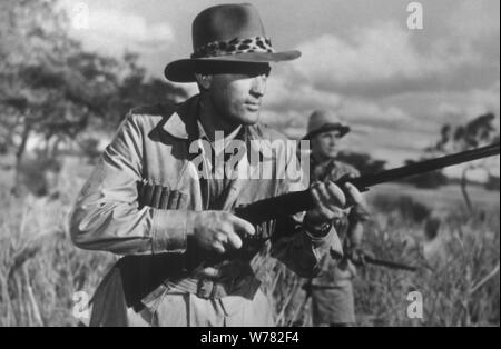 GREGORY PECK, THE SNOWS OF KILIMANJARO, 1952 Stock Photo