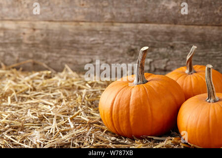 Orange halloween pumpkins on stack of hay or straw Stock Photo