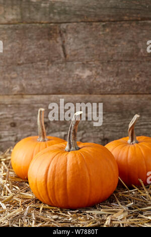 Orange halloween pumpkins on stack of hay or straw Stock Photo