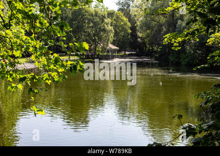 The duck pond in St Stephens Green Park in Dublin, Ireland. Stock Photo