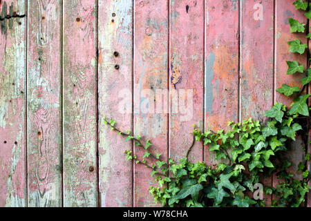 Old wooden garage door with distressed weather-beaten red or pink paint Stock Photo