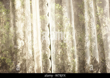 white curtain with window view tree garden background. Stock Photo