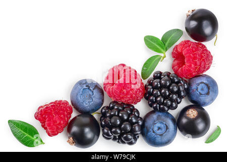 blackberry blueberry raspberry black currant isolated on white background with copy space for your text. Top view. Flat lay pattern Stock Photo