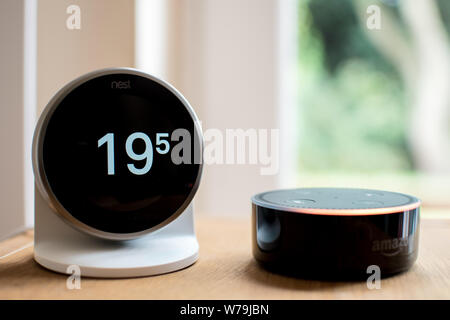 echo dot and nest thermostat