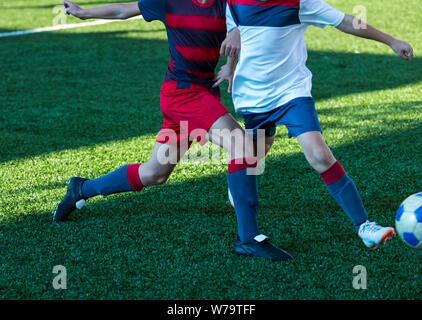 Boys in red and blue sportswear plays  football on field, dribbles ball. Young soccer players with ball on green grass. Training, football Stock Photo