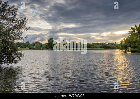 Evening light during a summer sunset over Beaulieu Mill Dam / Beaulieu River at Beaulieu, New Forest, Hampshire, England, UK Stock Photo