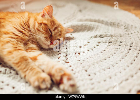 Ginger cat sleepng on couch in living room surrounded with cushions. Pet relaxing at home Stock Photo