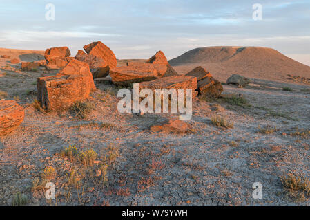 Red Rock Coulee near the Towns of Orion and Seven Persons, Alberta, Canada Stock Photo