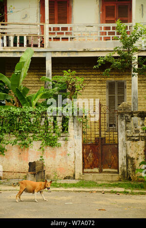 The buildings in the sleepy city of São Tomé Stock Photo