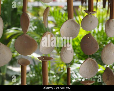 Closeup of decorative white seashells hanging on the beach in a restaurant. Stock Photo