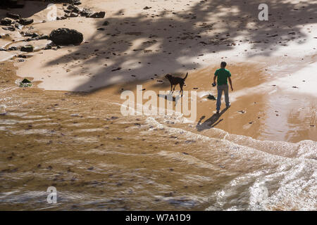 Man leisurely walking his dog at waters edge on sunny day in sheltered sandy beach cove by the Condes de Castro Guimaraes Museum in Cascais, Portugal Stock Photo
