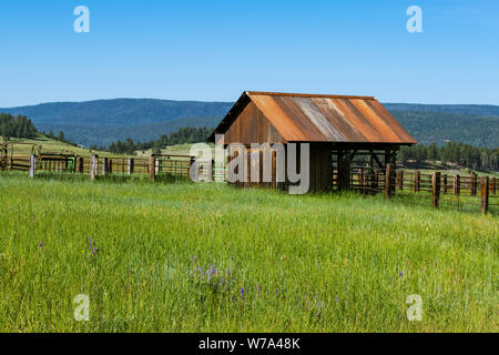 An old weathered barn with a rusty corrugated metal roof in a grassy field on a ranch in Pagosa Springs, Colorado Stock Photo