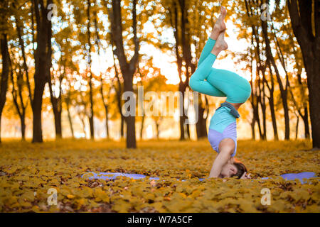 Thin brunette girl  standing in headstand exercise, Garuda salamba sirsasana pose in autumn park on a sunset background. Woman doing exercises on the Stock Photo