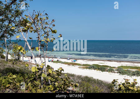 A view over part of the beach and the Atlantic Ocean at Bahia Honda State Park, Big Pine Key, Florida, USA Stock Photo