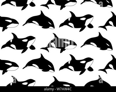 Hand drawn killer whale orca vector illustration Stock Vector Image ...