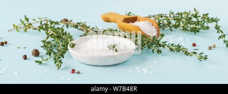 Coarse sea salt, pepper and fresh thyme on light blue background. Herbs and spices for cooking. Meat and poultry seasoning. Banner. Stock Photo