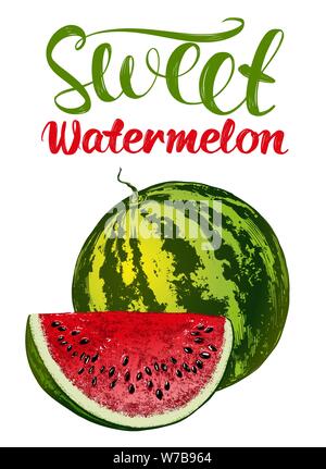 fruit watermelon, logo, calligraphic text hand drawn vector illustration realistic sketch color Stock Vector