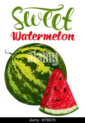 fruit watermelon, logo, calligraphic text hand drawn vector illustration realistic sketch color Stock Vector