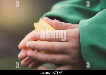 Close-up image of the hands of a little girl trying to touch a yellow tulip flower Stock Photo