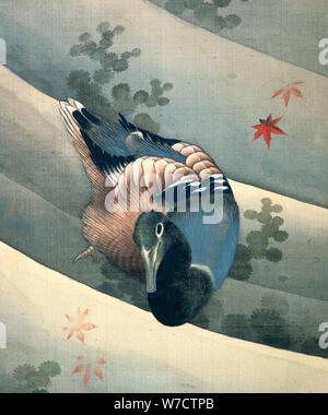 'Duck Swimming in Water', 1847. Artist: Hokusai Stock Photo