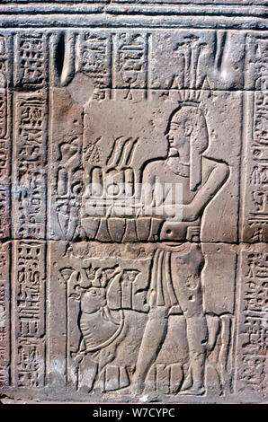 Relief of Hapi (Hapy) god of the Nile in Flood, Temple of Khnum, Ptolemaic & Roman Periods. Artist: Unknown Stock Photo