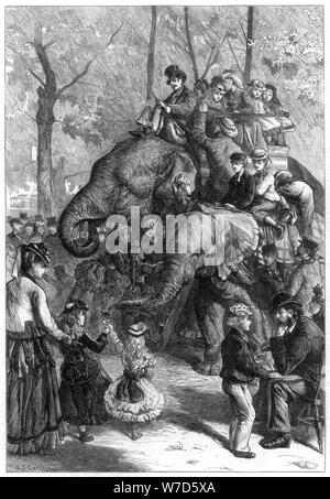 Monday afternoon at the zoological society's gardens, 1871.Artist: Charles Joseph Staniland Stock Photo