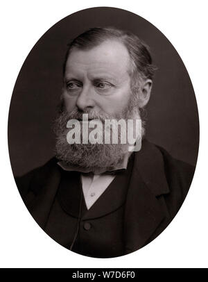 William Edward Forster (1818-1886), late 19th century. Artist: Unknown Stock Photo