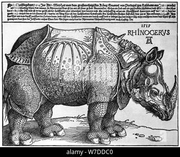 'Rhinoceros', print given to Maximilian I by the King of Lisbon, 1515, (1936). Artist: Albrecht Dürer Stock Photo