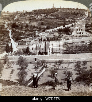The Garden of Gethsemane and the Mount of Olives, Palestine, 1908.Artist: Underwood & Underwood Stock Photo