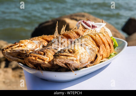 Plate with three pike-perch fish served in a fishing restaurant in Bibi-Heybat settlement of Baku, Azerbaijan. Stock Photo