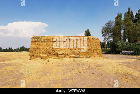 Stack of hay in rural area. In autumn season. Stacks of golden hay in a field Stock Photo